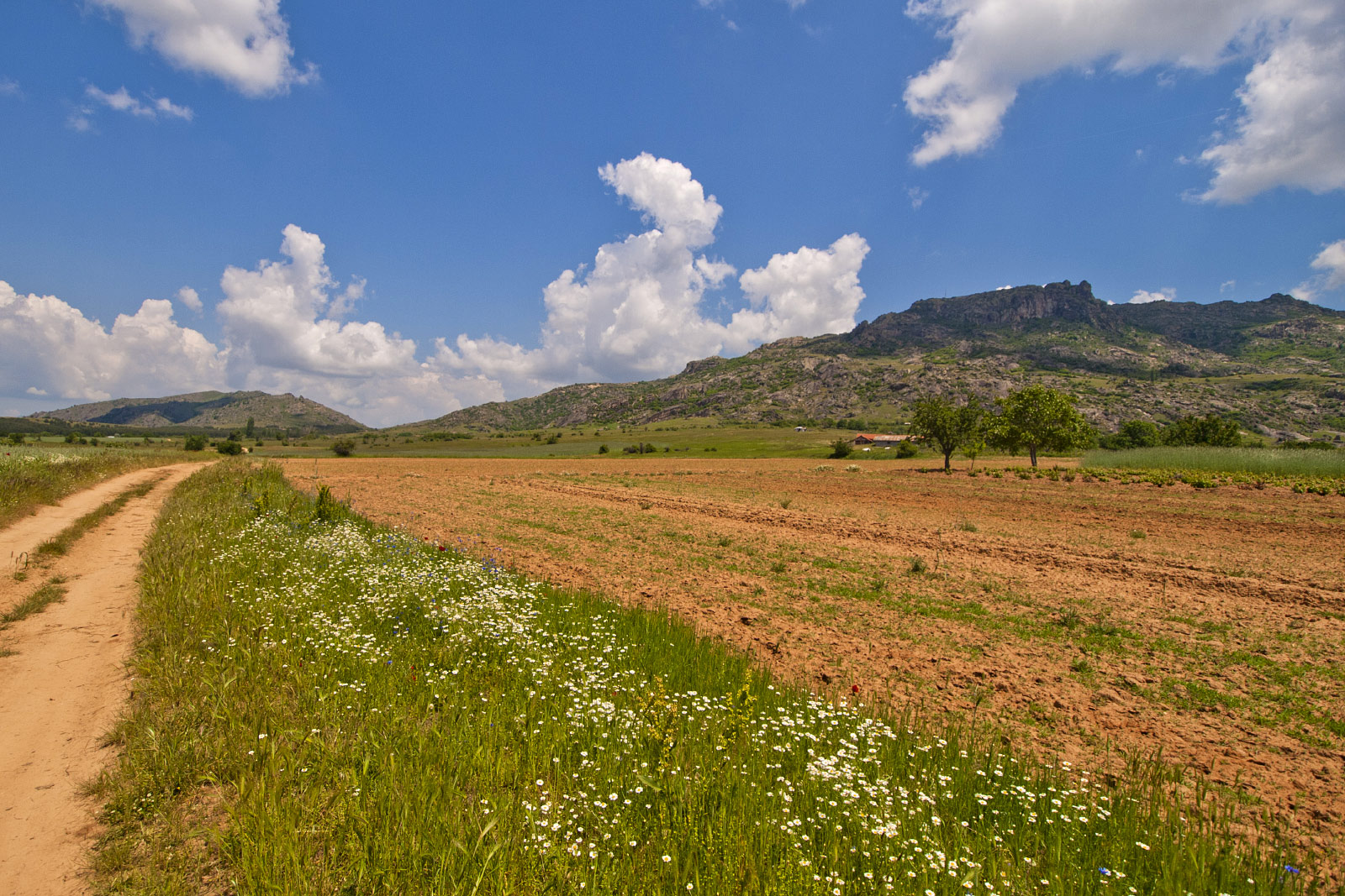 Prilep Field (Photo license: CC BY-NC 2.0)